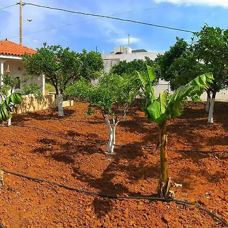 Maria Hotel